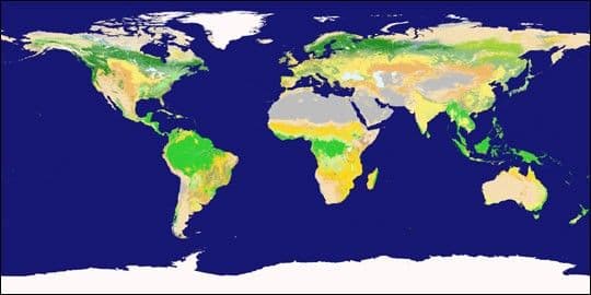 New Land Cover Classification Maps