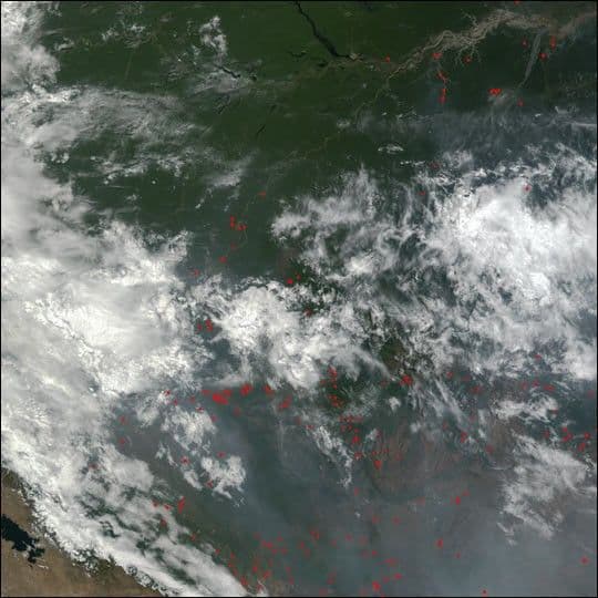 Slash and Burn Agriculture in Brazil
