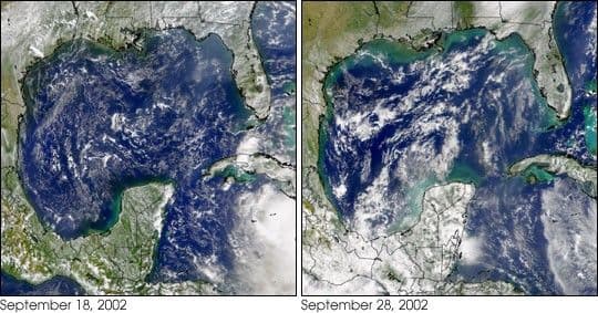 Isidore Stirs Up the Gulf Coast