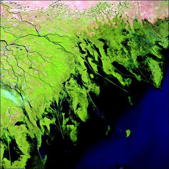 Volga River Delta