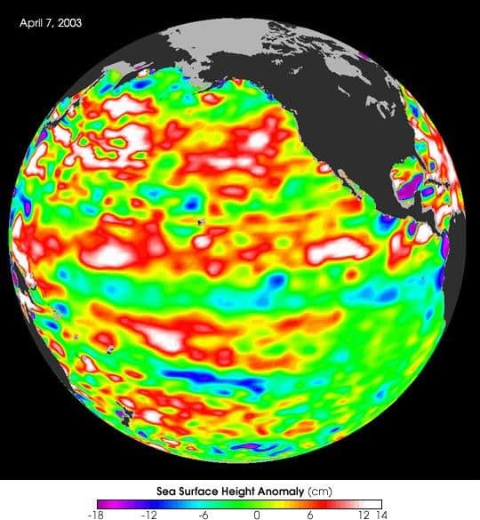 Hasta La Vista, Baby El Niño