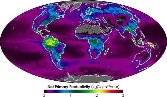 NASA Satellites Measure Earth’s Metabolism