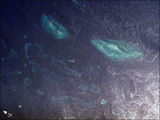 Above and Under the Red Sea