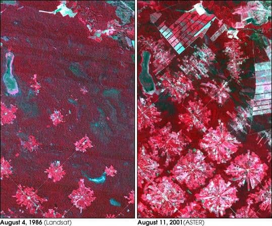 Deforestation in Santa Cruz, Bolivia