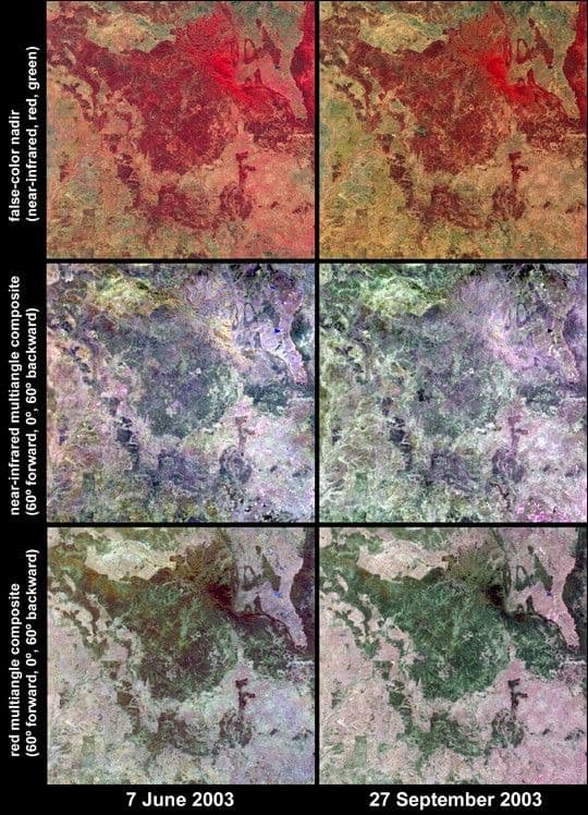Austral Winter and Spring in Queensland’s Brigalow Belt
