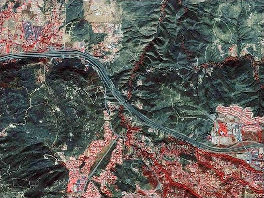 Burned Area near Alpine, California