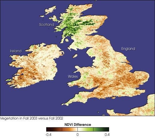 Fall Crops Fail to Emerge Across UK