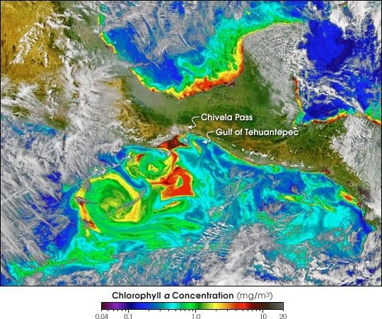 Tehuano Wind Colors the Ocean