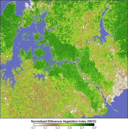 Rainforests of Panama