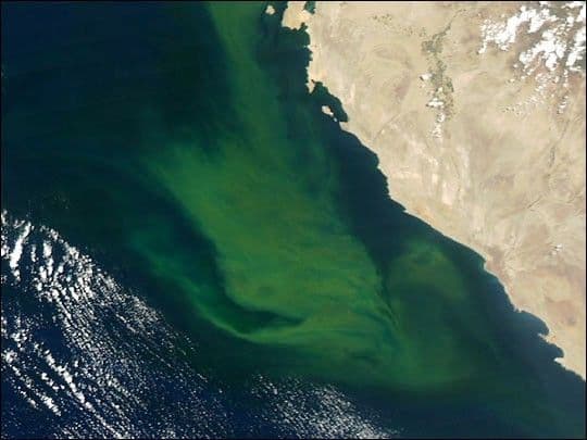 Bright Waters off Peru