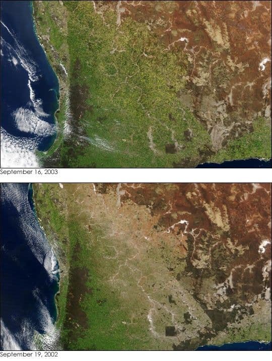 Record Harvest in Australia