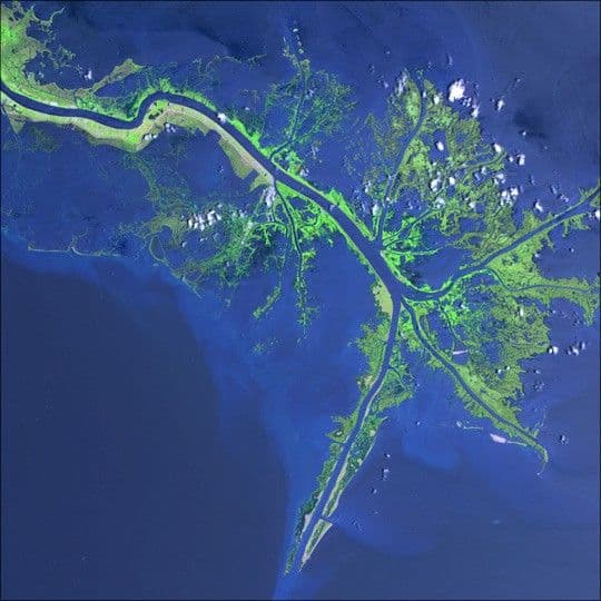 Mississippi River Delta