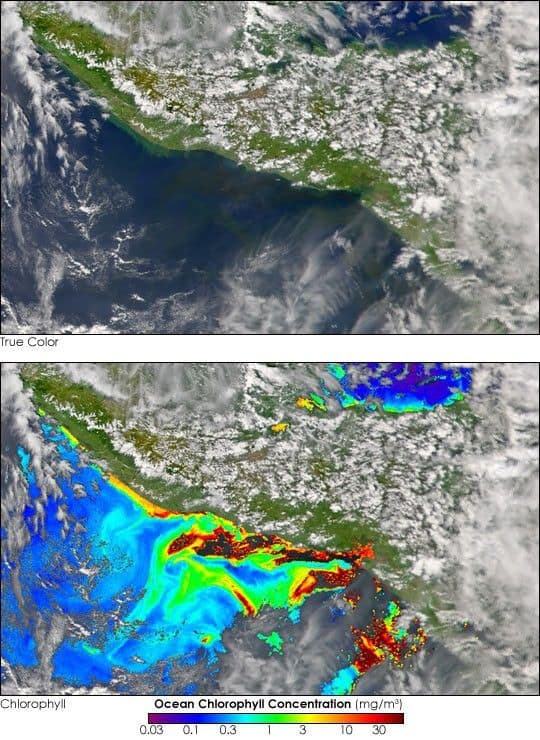 Algae Bloom off the Coast of El Salvador