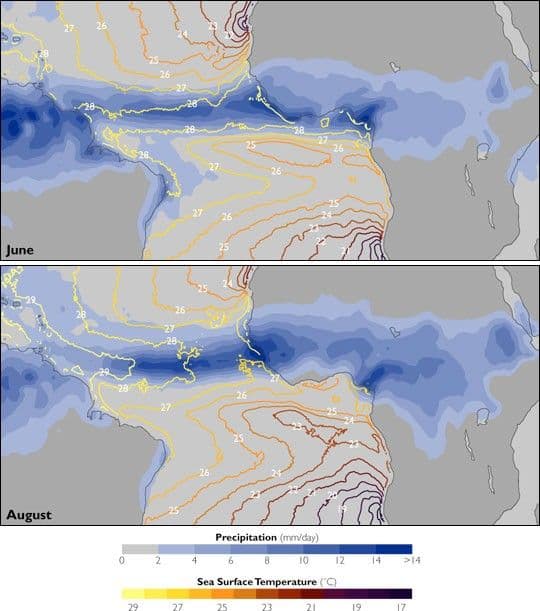 African Monsoon