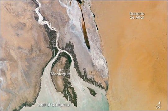 Colorado River Delta, Baja California