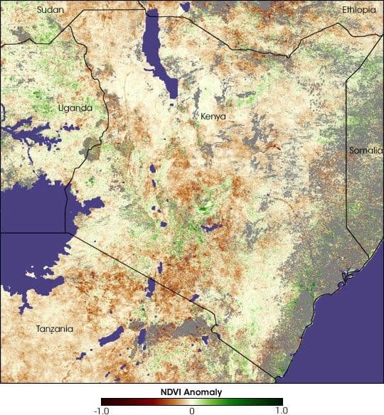 Drought in Kenya