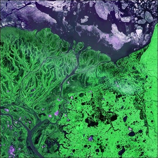 Yukon River Delta, Alaska