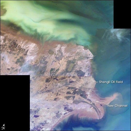 Yellow River Delta