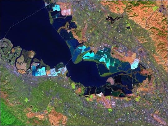 Salt Ponds in San Francisco Bay
