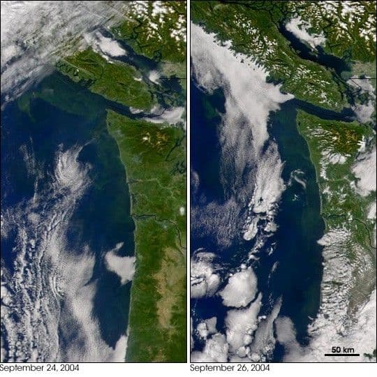 Toxic Algae Bloom off Washington