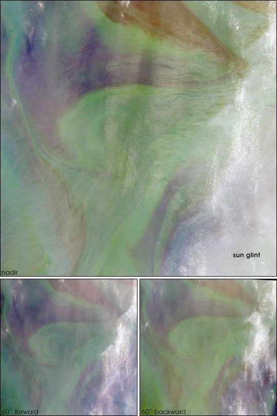 Red Plankton in the Arabian Sea