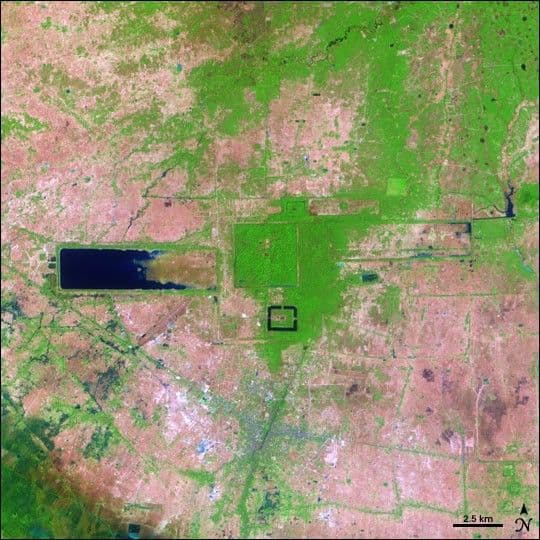 Angkor Ruins