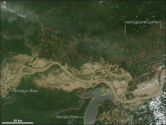 Fires in Para, Brazil
