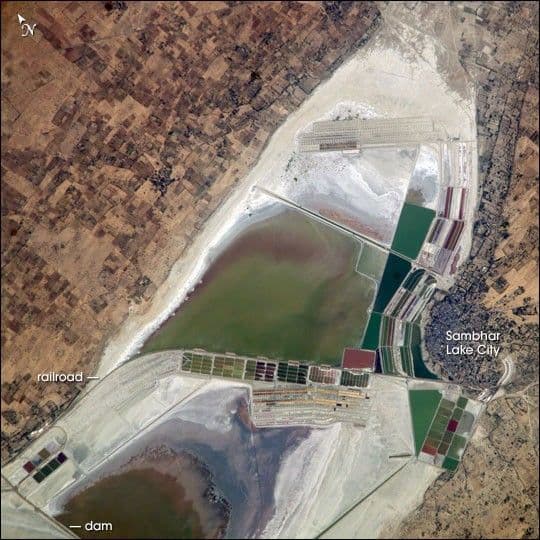 Lake Sambhar, India