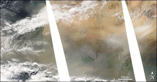 Dust Storm off the Western Sahara Coast