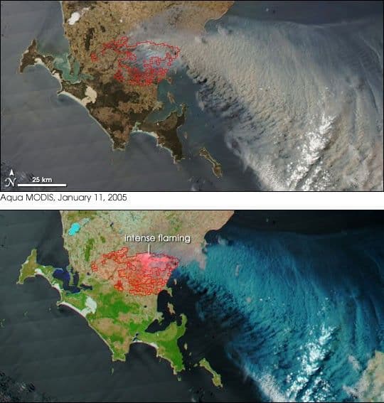 Bushfires Race Across South Australia