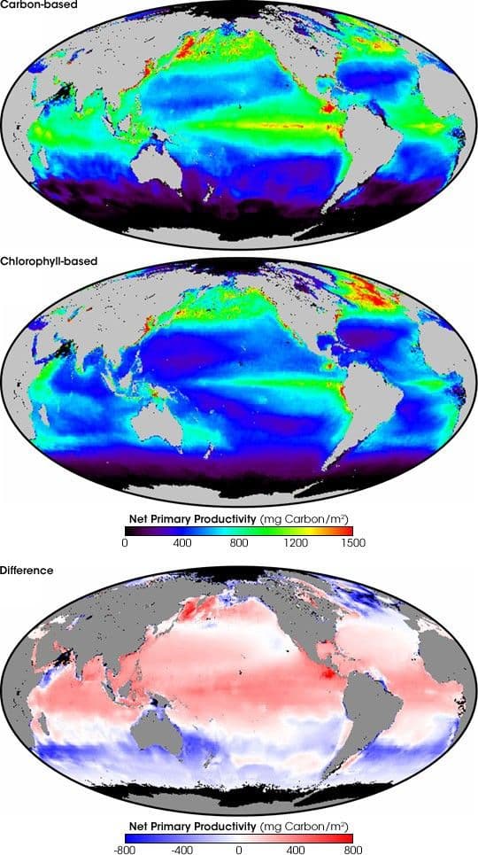 Growth Rates in Earth’s Watery Garden
