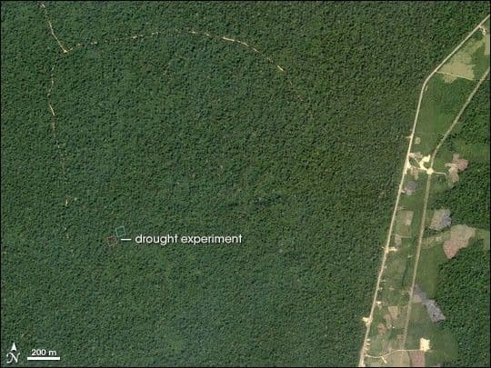 Amazonian Drought Experiment