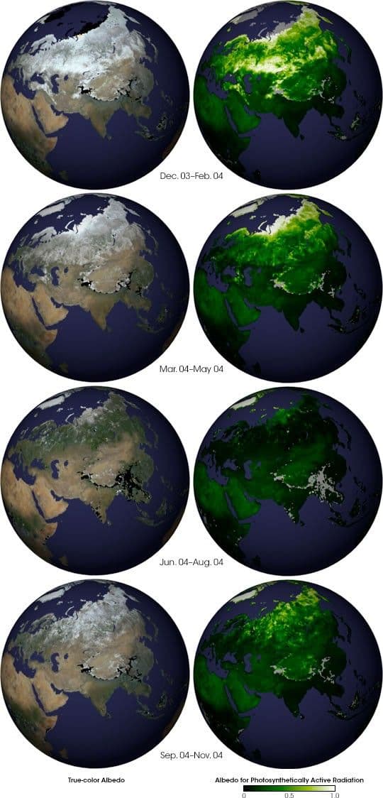 Seasonal Changes in Earth’s Surface Albedo