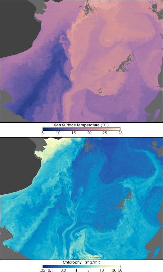 Malvinas Current, South America