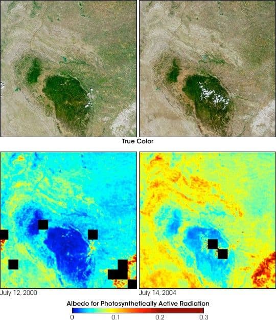 Drought in the Black Hills