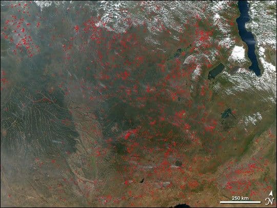 Fires in Central Africa