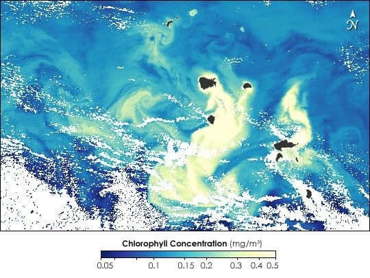 Colorful Chlorophyll around Marquises Islands