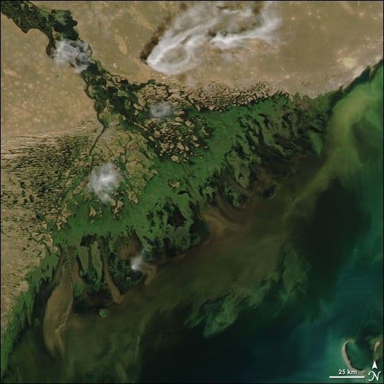 Volga River Delta