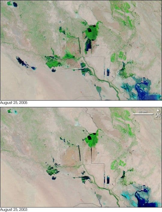 The Mesopotamian Marshes