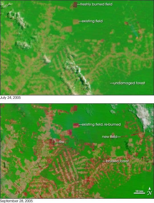 Dramatic Fire Season in Acre, Brazil