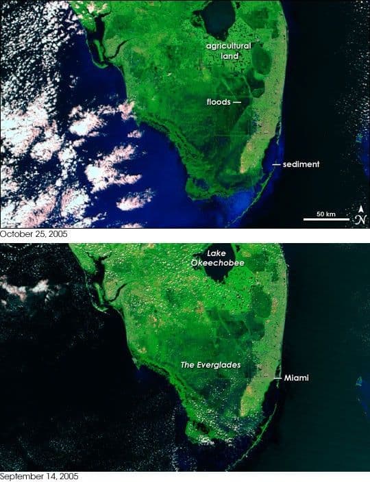 Wilma Floods Florida