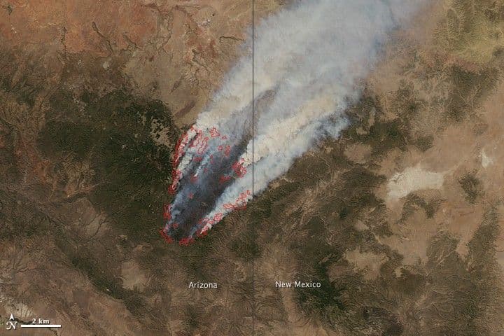 Wallow Fire, Arizona
