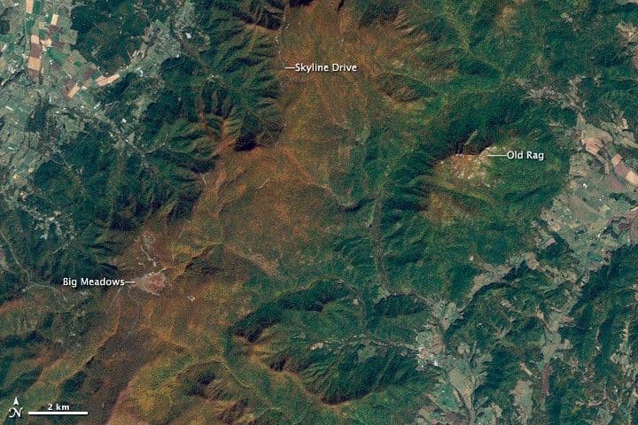 Birthday Wishes for Shenandoah National Park