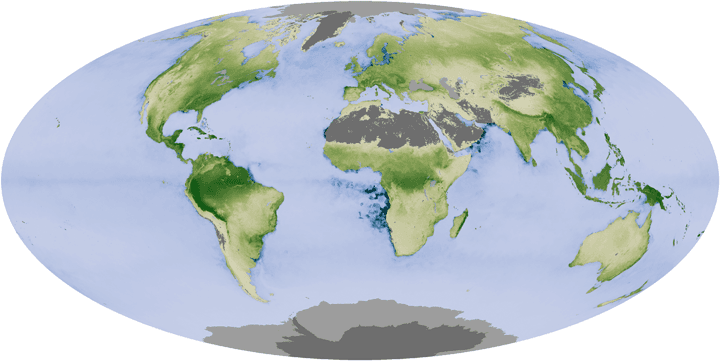 A Global Garden: Plants Storing Carbon