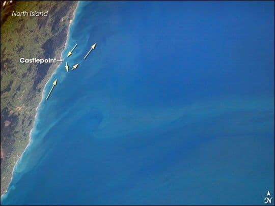 Plankton Plume, North Island, New Zealand
