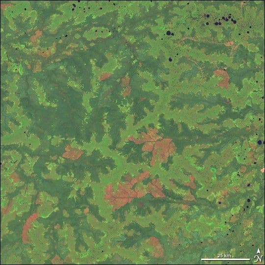 West Siberian Plain