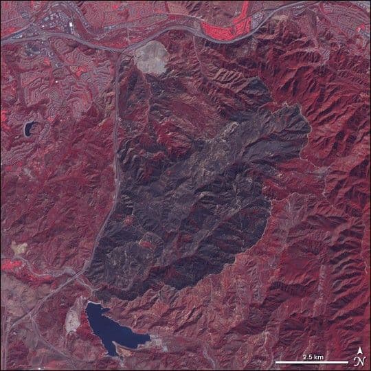 Burn Scar in Cleveland National Forest