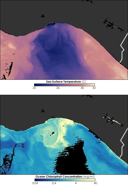 Tehuano Winds Stir the Pacific Ocean