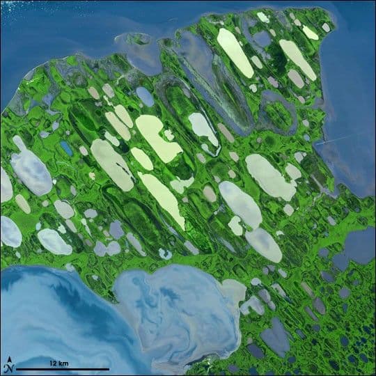 Teshekpuk Lake, Alaska’s North Slope