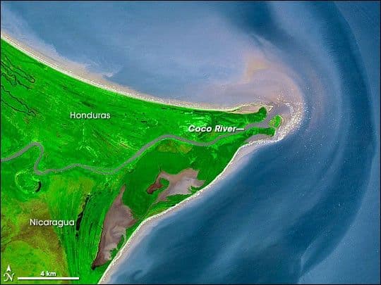 The Mosquito Coast
